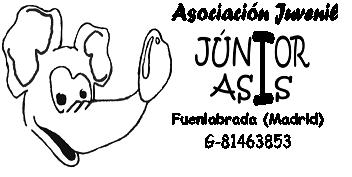 Asociación Juvenil Júnior Asís, Fuenlabrada.